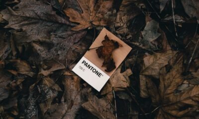 fall color palette