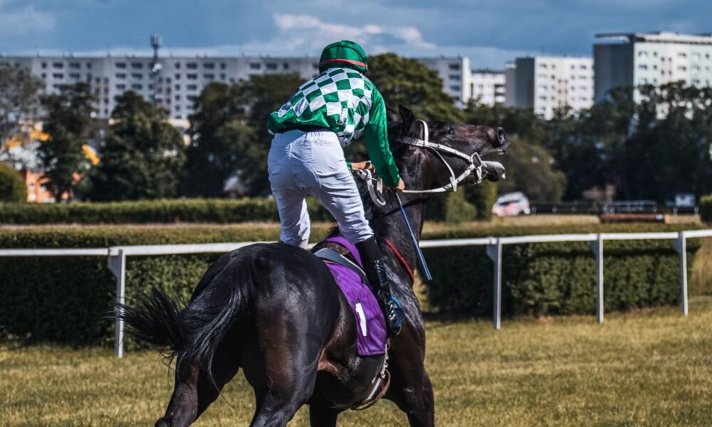 lingfield tips