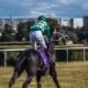 lingfield tips