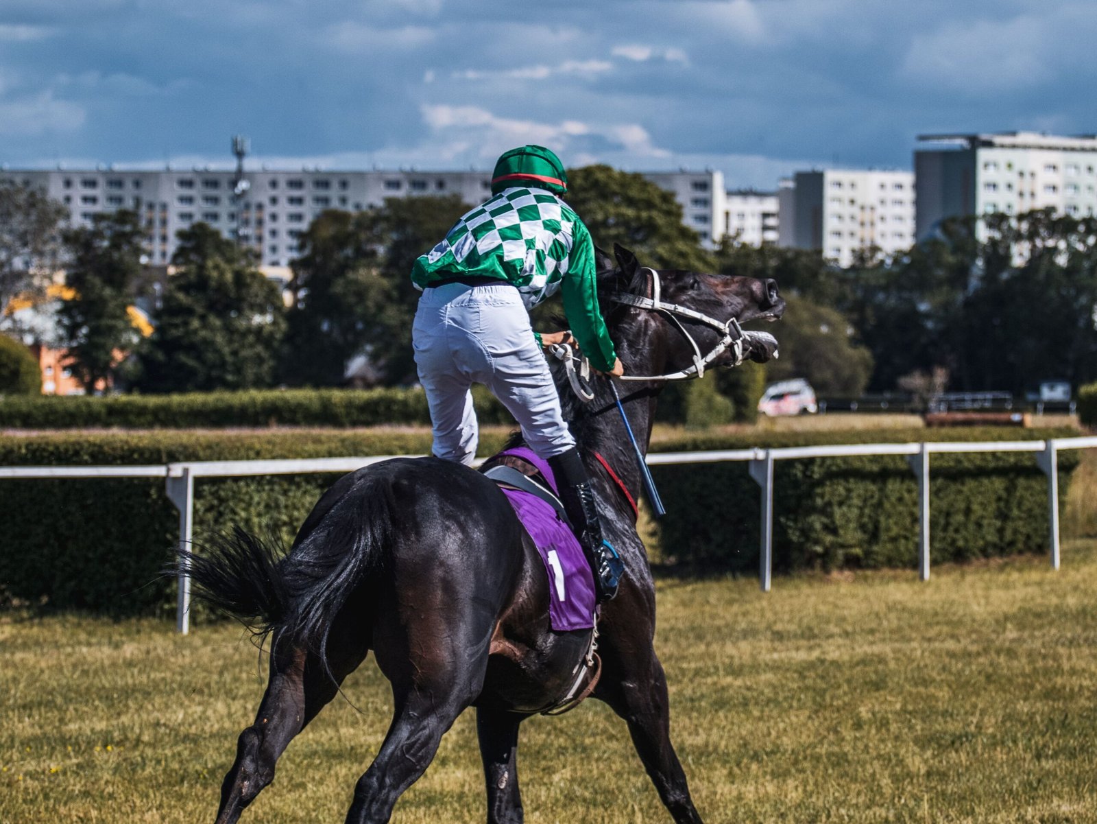 lingfield tips
