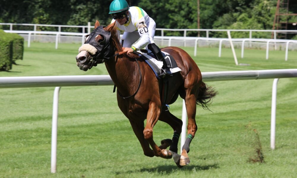 wincanton races