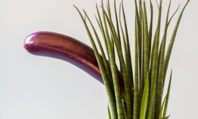anus pun
