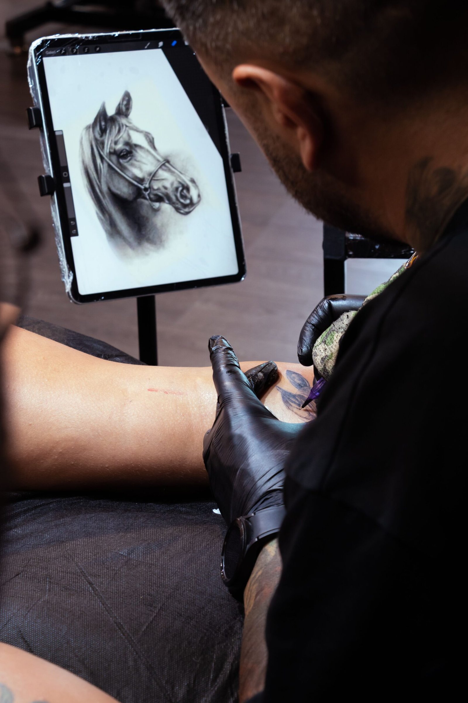 horse tattoo