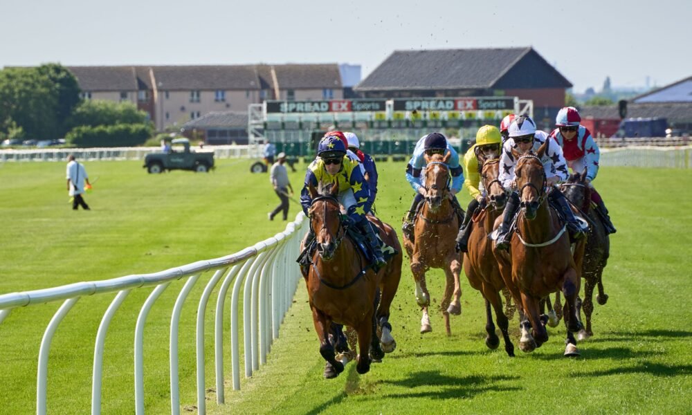 newmarket tips