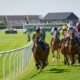 newmarket tips