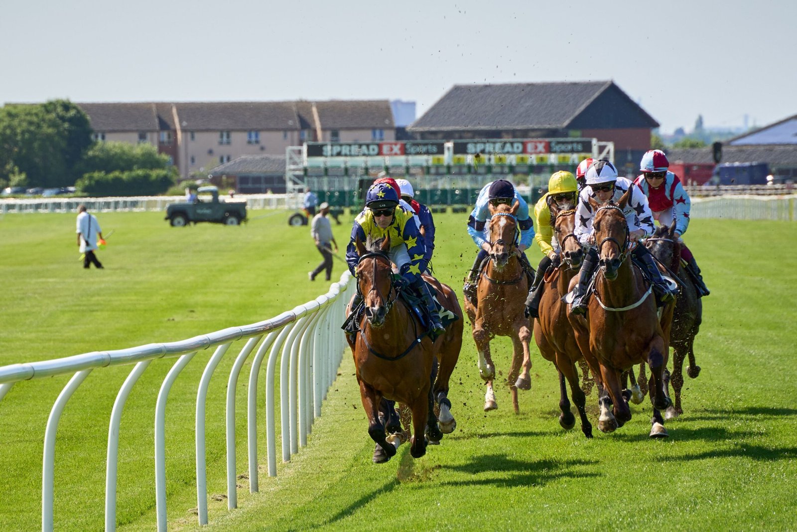 newmarket tips